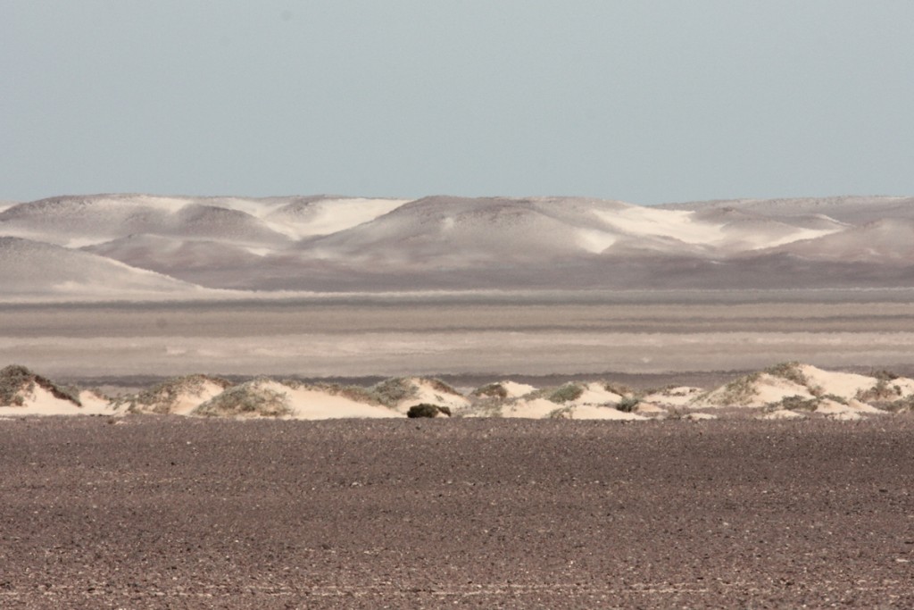 le dune di sabbia si perdono fino all'orizzonte