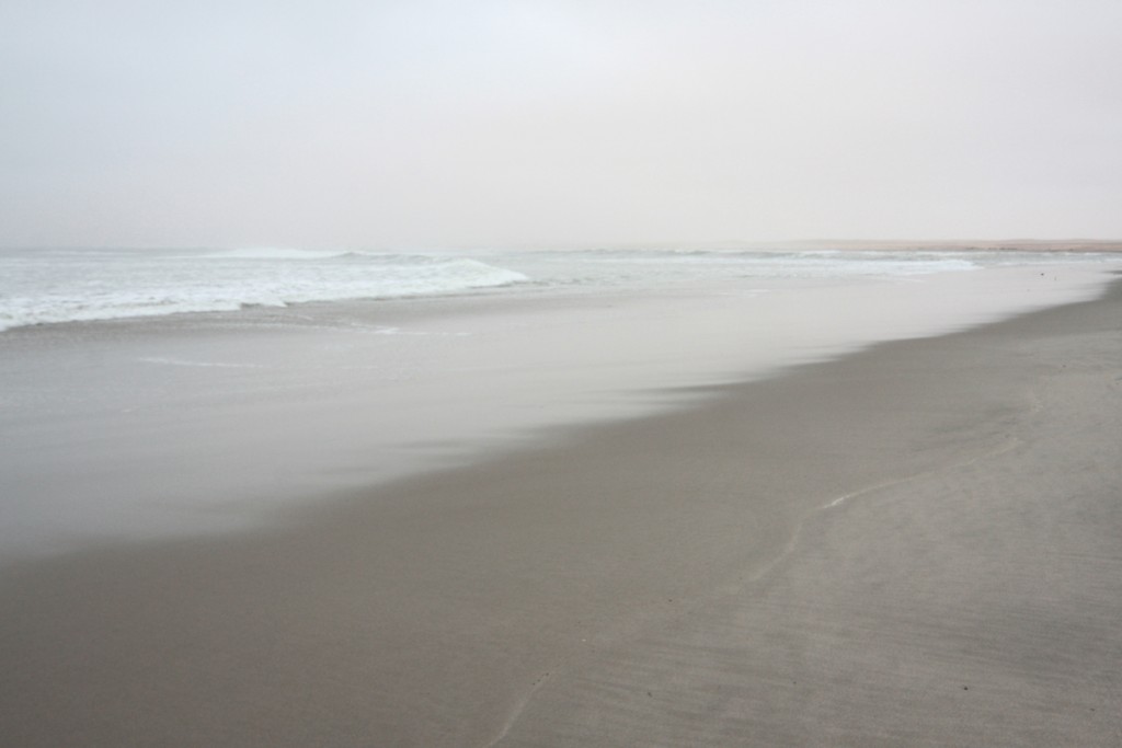alla sera, quando il sole cala dietro la nebbia, i colori della spiaggia diventano ancora più onirici