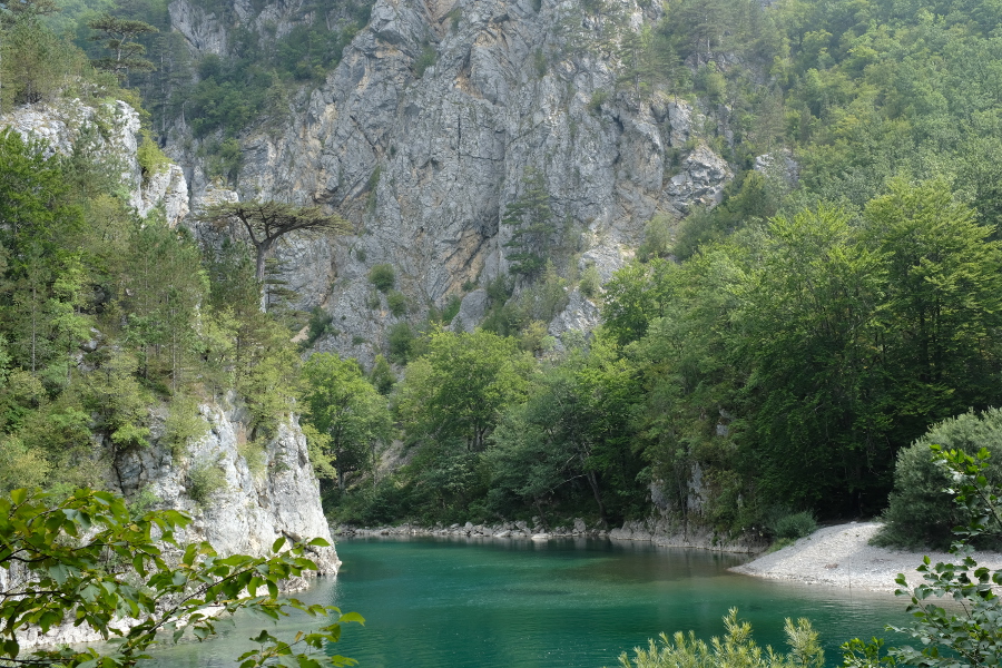 Montenegro, Gole del Tara