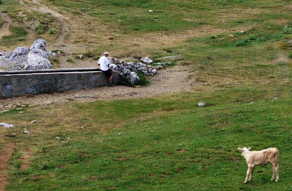 Fontana di Piano Gaudolino, Monte Pollino