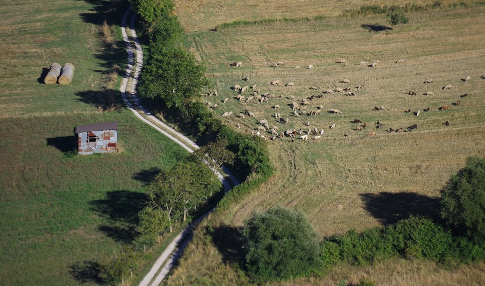 Campagna di Trevico (AV)